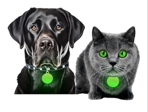 2 x GLO-X Glow in the Dark Tags for Pets Collar  No Batteries Required - Picture 1 of 4