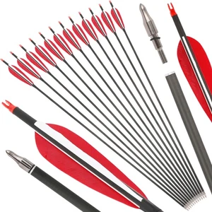 35Zoll Carbonpfeile 5" Naturfedern SP500 Recurvebogen Jagdschießen Bogenschießen - Bild 1 von 14