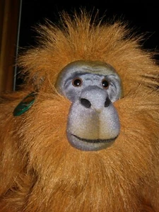 Orang-Utan Affe Plüsch AZA Species Survival Plan Realistischer Affe Plüsch - Bild 1 von 3