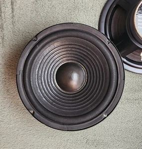 8" Bass Woofer, 140watt, 8Ω (RTO WR-200P/8) - Afbeelding 1 van 5
