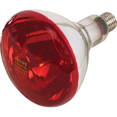 LAMPADA RIFLETTORE PULCINI  INFRAROSSI VOLT 230 WATT 150 E27 MM 125 - Immagine 1 di 1