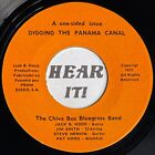Private Haunting Bluegrass 45 CHIVA BUS BAND Digging The Panama Canal rare HEAR