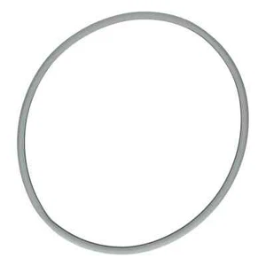 AEG GUARNIZIONE ANTERIORE ASCIUGATRICE REX ELECTROLUX Originale 140066097019 - Imagen 1 de 1