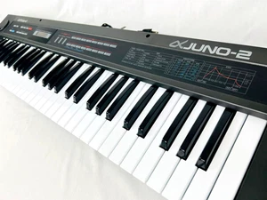 Roland Polyphonic Synthesizer Alpha Juno 2 61 Key Synth Keyboard funktionstüc... - Bild 1 von 10