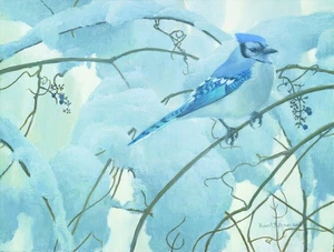 Robert Bateman - Frosty Morning - Blue Jay - Paper Print - Mint in envelope - Picture 1 of 1