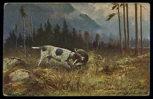 cartolina d'epoca-post card-animali CANE CACCIA - Foto 1 di 1