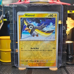 Wattrel Surging Sparks Reverse Holo Pokémon TCG 066/191 Scarlet & Violet Common - Bild 1 von 6