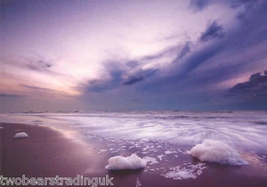 Postcard: Wonderful World - Foamy Seashore (The Postcard Store) - Foto 1 di 1