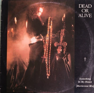 Dead Or Alive Something In My House Australia issue 12'' vinyl single 1986 rare - Image 1 of 3