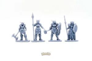 Valkiria - HQ Dungeon - Minis3D - Imagen 1 de 18