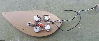 Cableado de guitarra PERSONALIZADO para guitarra Rickenbacker 325 de 3 pastillas * 3 volúmenes + 1 tono * Foto 1 de 4