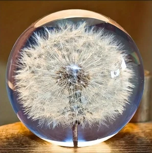 Deko Kristallkugel Löwenzahn aus Glas 65mm Durchmesser Geschenk ohne LED - Bild 1 von 10