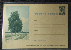 Russian Soviet Postcard w/ image of Birch trees, unposted issue of 1963. - Picture 1 of 1