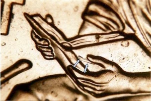 ~ BU Best Of ~ 2009 Lincoln WDDR-052 + WDDO-004 Formative Doubled Die Error LP2 - Picture 1 of 3