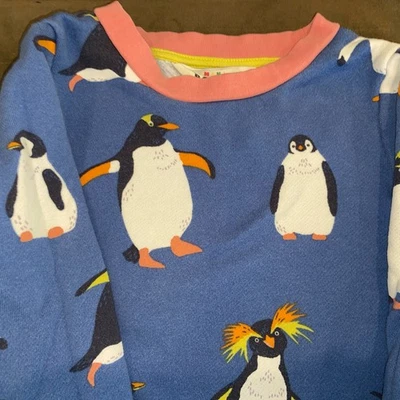 迷你 Boden Penguin 长袖连衣裙女孩尺寸 4-5Y 彩色运动衫口袋 — 第 1/4 张图片