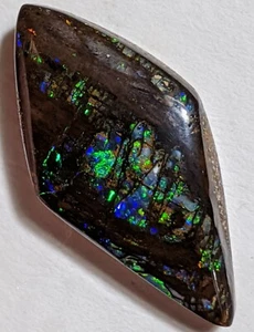 Impresionante ópalo fósil de madera de 12,4 quilates azul brillante verde forma libre QLD - Imagen 1 de 12