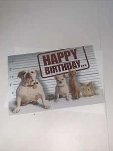 Hallmark lustige Geburtstagskarte: Happy Birthday von den üblichen Verdächtigen (die Haustiere) - Bild 1 von 5