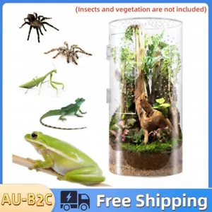 Reptiles Spider Transparent Plastic Feeding Box Insect Food Feeding Container US - Picture 1 of 7