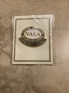 Pin fiscal contador agente inscrito NAEA - ¡Nuevo! ¡Raro! - Imagen 1 de 3