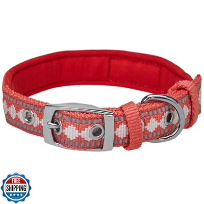 蓝莓宠物反光提花狗项圈带氯丁橡胶衬垫和金属  — 第 1/4 张图片