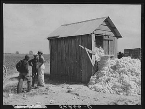 Mileston Plantation,Mississippi,MS,Holmes County,Farm Security Administration,7 - Picture 1 of 1