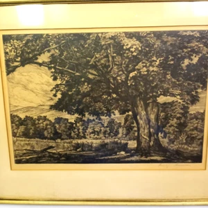 Luigi Lucioni Signed  Original Etching  "The Spreading Maple"  Limited Edition - Picture 1 of 11