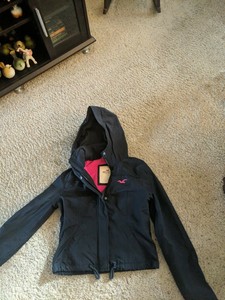 hollister california jackets