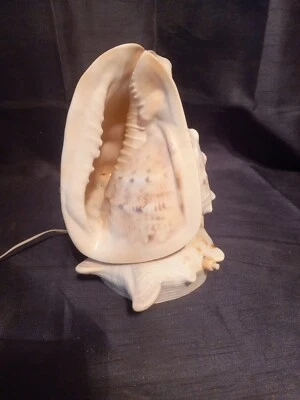 ancienne lampe coquillage création objet vintage - Photo 1/4