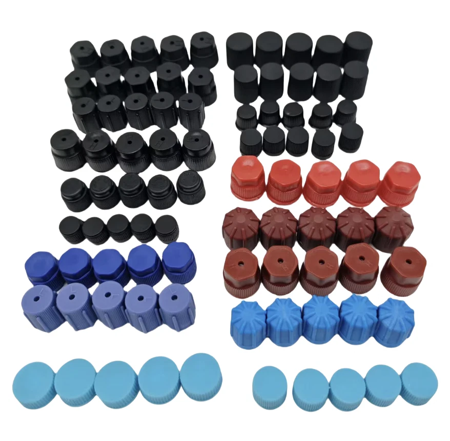 Kit de tapa antipolvo núcleo válvula lateral alto bajo R134a R12 reparación aire acondicionado coche R134a R12 Foto 1 de 4