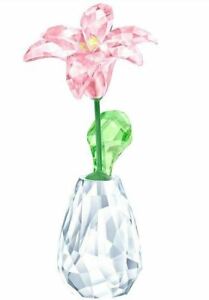 Authentic New in Box Swarovski Flower Dreams Lily Pink #5439224