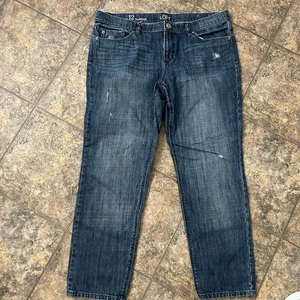 Pantalones de mezclilla Ann Taylor Loft para mujer talla 12 algodón desgastado - Imagen 1 de 4