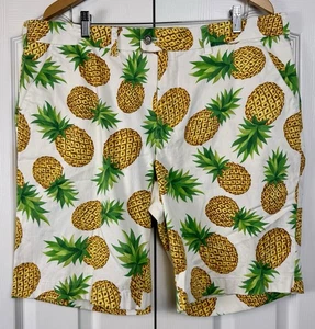 Loudmouth Golf Shorts Mens Sz 40 Pineapples AOP Tropical Pina Colada Preppy NWOT - Picture 1 of 9