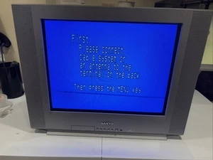 Sanyo DS20930 Vintage Retro Gaming TV - TESTED - Picture 1 of 12