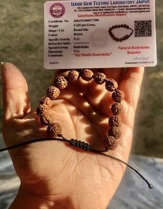 LAB CERTIFIED Natural RUDRAKSHA Rudraksh Bracelet Adjustable 6 Mukhi 6 Face - Picture 1 of 6
