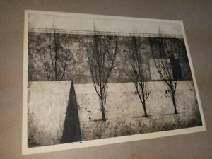 RYONOSUKE FUKUI Japan Listed Etching Aquatint Ink "Four Trees against a Wall" - Picture 1 of 18