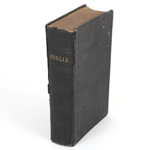 BIBLIA Finnish Bible Pyha Raamattu Vintage 1908 HC Finland Language Book Old - Picture 1 of 18