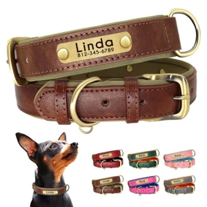 PERSONALISIERTES Hundehalsband aus weichem Leder individuell Welpe Katze Name kostenlose Gravur XS-XL - Bild 1 von 57