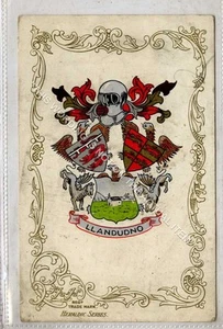 (Ga8865-477) Serie Ja Ja, Heráldico, Llandudno 1905 en muy buen estado - Imagen 1 de 2