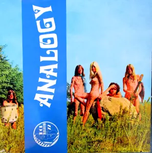 ANALOGY analogy Black Vinyl LP NEU OVP/Sealed - Bild 1 von 2