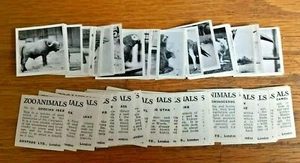 Dryfood confectionery trade cards: Zoo Animals complete full set loose - Picture 1 of 1