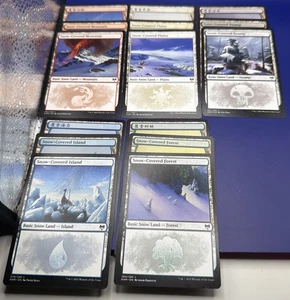 MTG 184 Snow Covered Lands, English And Chinese - Picture 1 of 8