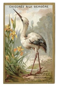 Héron - - Animal - Chromo A La Bergère - Trade card - Imagen 1 de 2