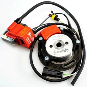 SELETTRA A11 analogue racing ignition - Rotax 123 - Picture 1 of 1