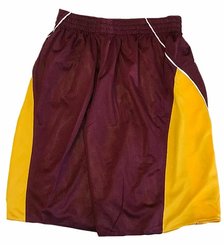 Minnesota Golden Gophers Mens Nike Force Reversible Basketball Shorts (Small) Cover