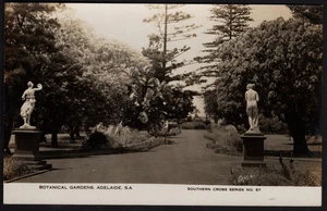 Australian B & W Postcard. "Botanical, Gardens, Adelaide". Southern Cross series - Picture 1 of 2
