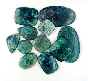 Qualità incredibile!! Pietra preziosa corallo fossile blu - Lotto corallo fossile blu 71760 - Foto 1 di 2