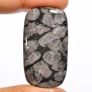 AAA+ Natural Black Fossil Coral Radiant Cabochon Stone 54 Ct. 40X22X6mm EE-17624 - Picture 1 of 1