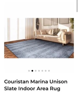 Indoor Area Rug Couristan Marina Unison Slate Indoor * Material* Polypropylene - Picture 1 of 7