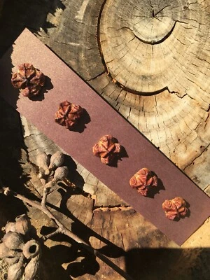 5 x Brown-Red Australian Gumnut Buttons - Handmade Natural Wood - Image 1 of 4