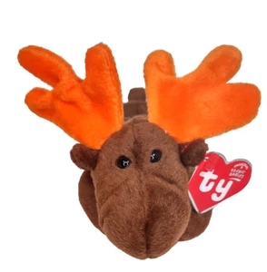 Ty Beanie Baby CHOCOLATE Moose BBOC Original 9 Excl. MWMTs Stuffed Animal Toy - Picture 1 of 10